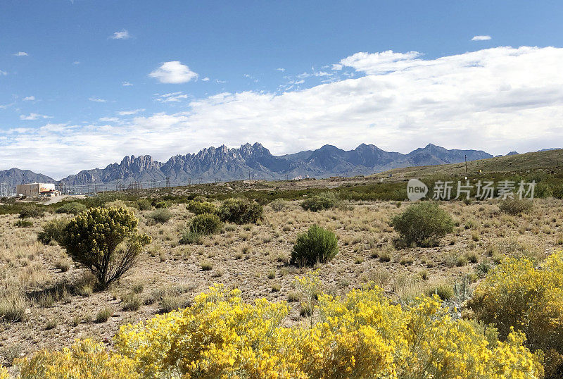 Chamisa Brush，新墨西哥州拉斯克鲁斯东部的Organ Mountains